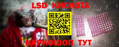 прущие грибы Балахна