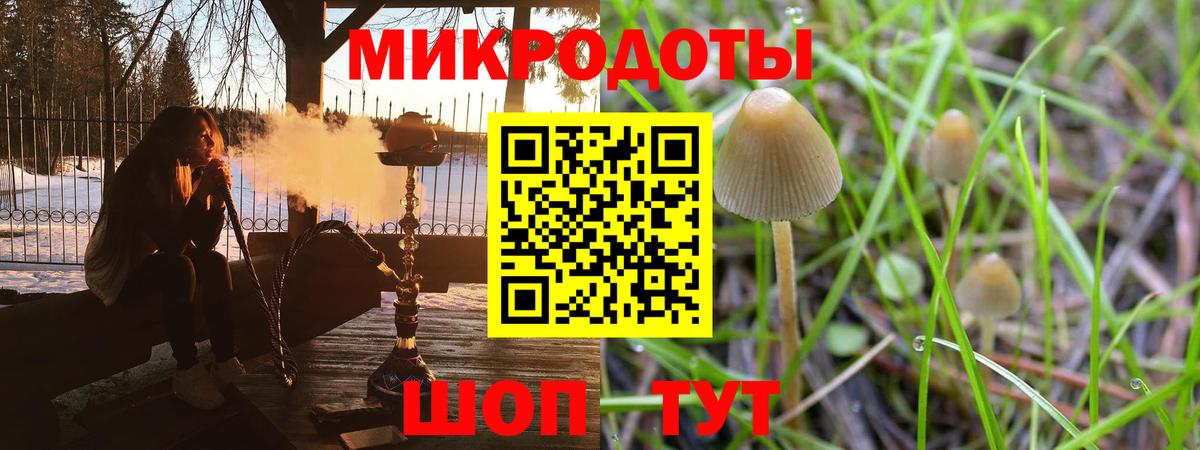 Выкса  Псилоцибиновые грибы прущие грибы  Вход с VPN 
